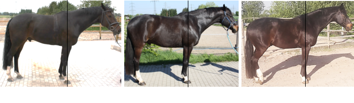 bei Ankunft nach 3 Jahren nach 4 Jahren