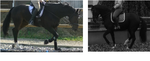 bei Ankunft nach 3 Jahren