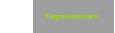 Tagesseminare