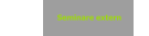Seminare extern